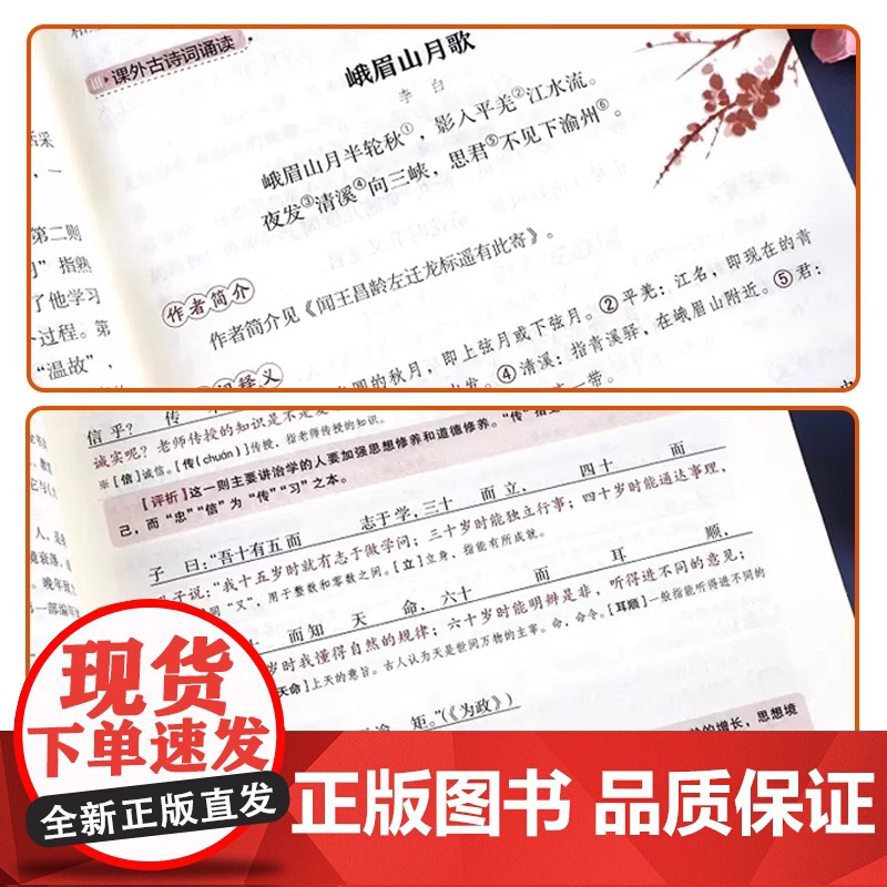 2024新版初中必背古诗文138篇和文言文全解一本通人教版 古诗词译注与赏析初中生初一到初三7到9年级语文课外专项阅读练高清大图