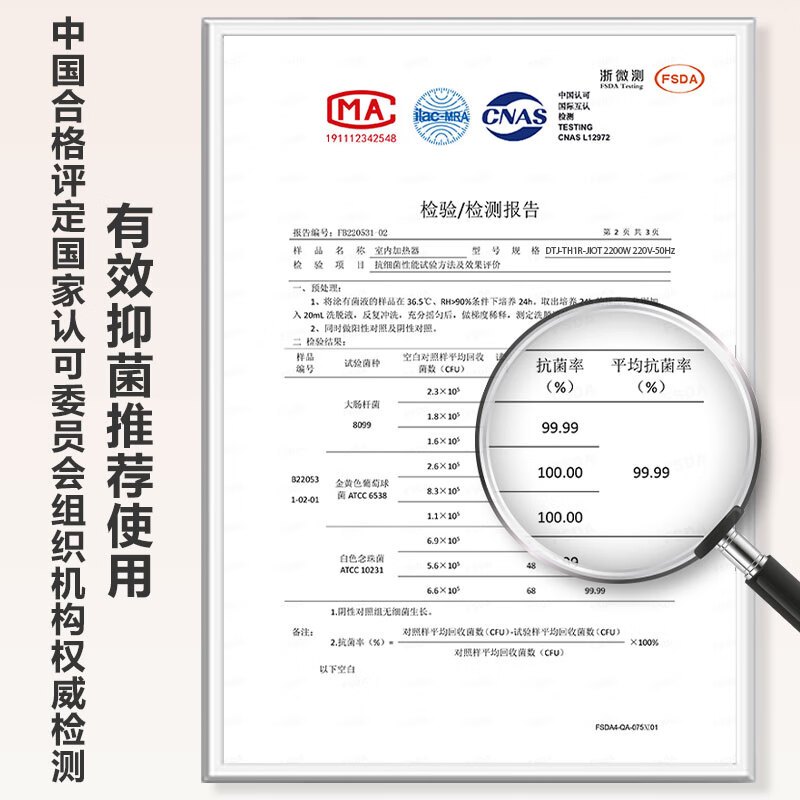先锋 炭火踢脚线 DTJ-TH1R-JIOT 石墨烯踢脚线取暖器仿真火焰壁炉轻音电暖器 科技黑