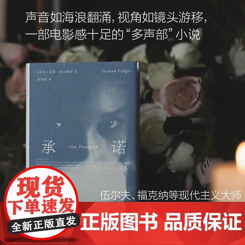 承诺 达蒙 加尔格特 如海浪翻涌 如镜头游移 讲述一家一国的命运与前途 外国小说 广西师范大学出版社高清大图