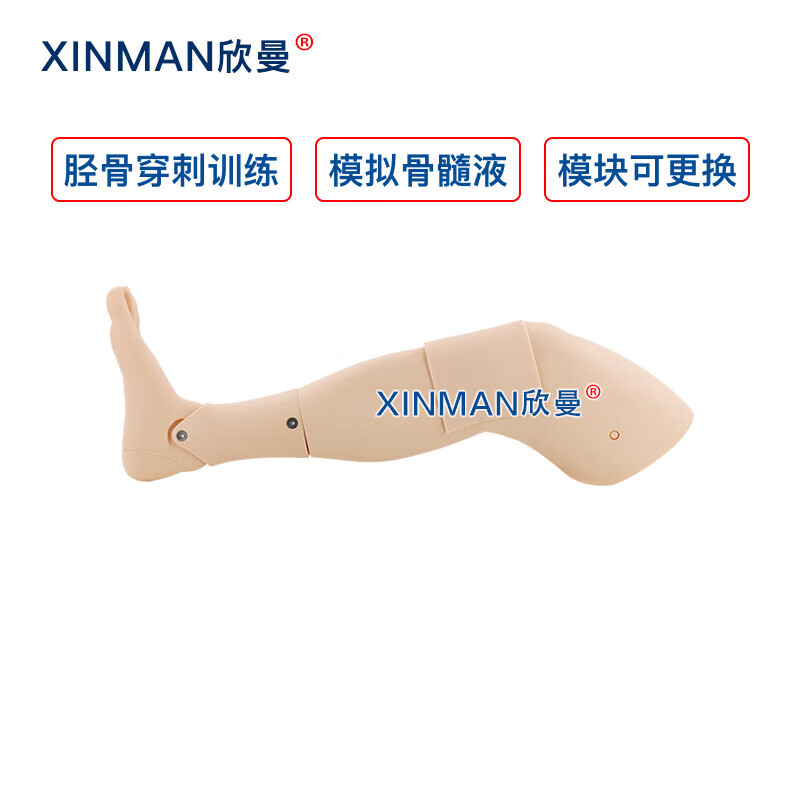 欣曼科教 胫骨穿刺训练模块 成人胫骨骨内穿刺输液训练模型XM-GC3高清大图