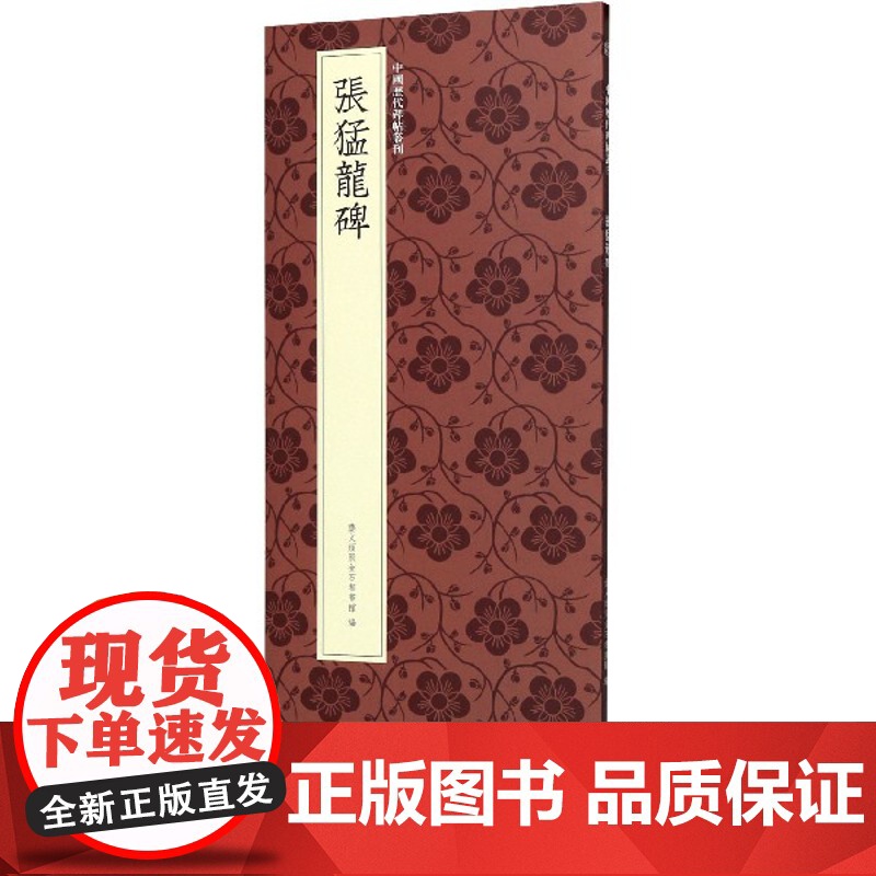 张猛龙碑 北魏楷书代表作高清原碑帖+近距离临摹可平摊毛笔书法字帖楷书初学者临摹教材范本基础教程 正版名品中国历代碑帖丛刊高清大图