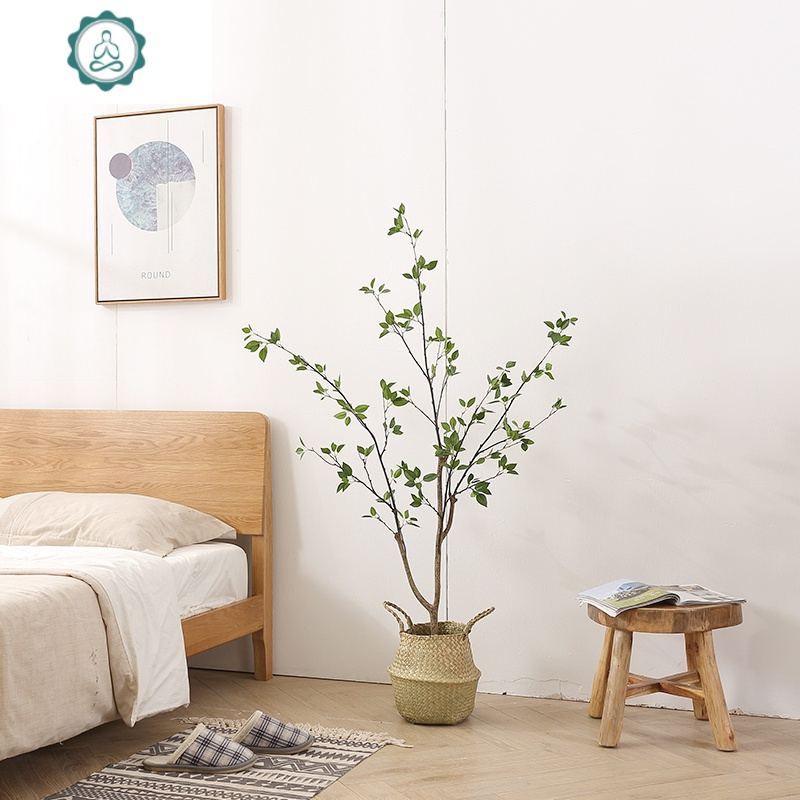 封后 Fenghou 装饰摆件北欧ins风网红绿植仿真椿树假树室内客厅落地大型盆栽装饰植物封后椿 树2 1米 水泥盆32cm仿真植物 价格图片品牌报价 苏宁易购杰伦家居专营店