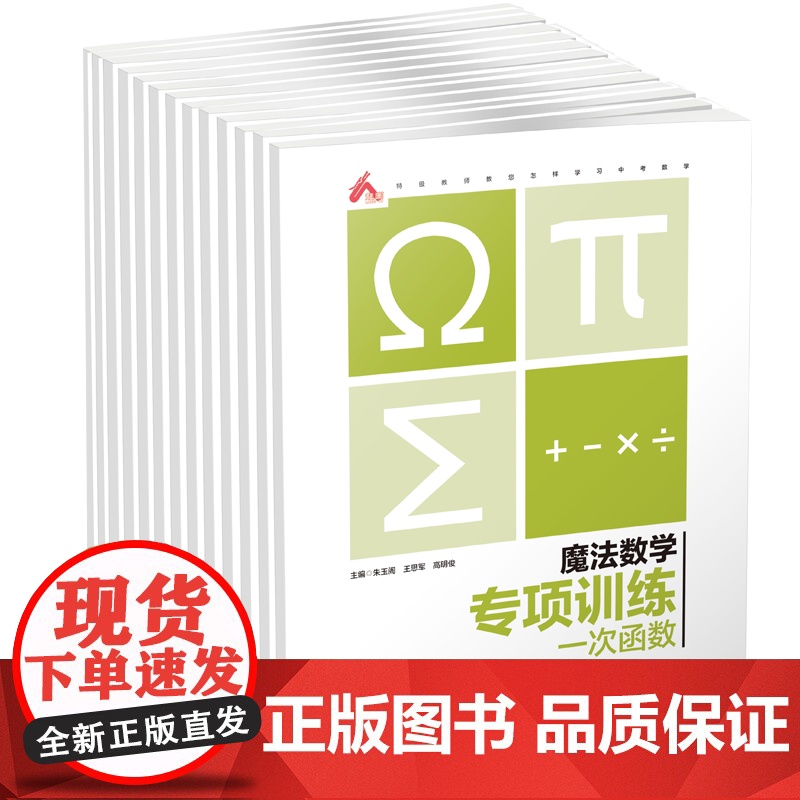 正版初中数学复习参考中考资料 魔法数学专项训练一次二次反比例函数 方程与不等式 几何模型 图形初步与三角形 概率与统计高清大图