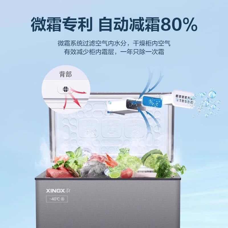 星星(XINGX)BD/BC-200SD家用商用冰柜冷柜深冷速冻冰柜超低温-40℃冷柜单温全冷冻小型大容量冰箱速冻柜铜管图片