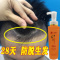 [优先发货]正品九叶老姜王生姜洗发水防脱发生发控油去屑增发育发增长液
