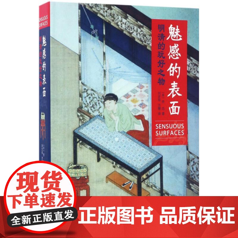 魅惑的表面(美)乔迅(Jonathan Hay) 著;刘芝华,方慧 译 著WX高清大图