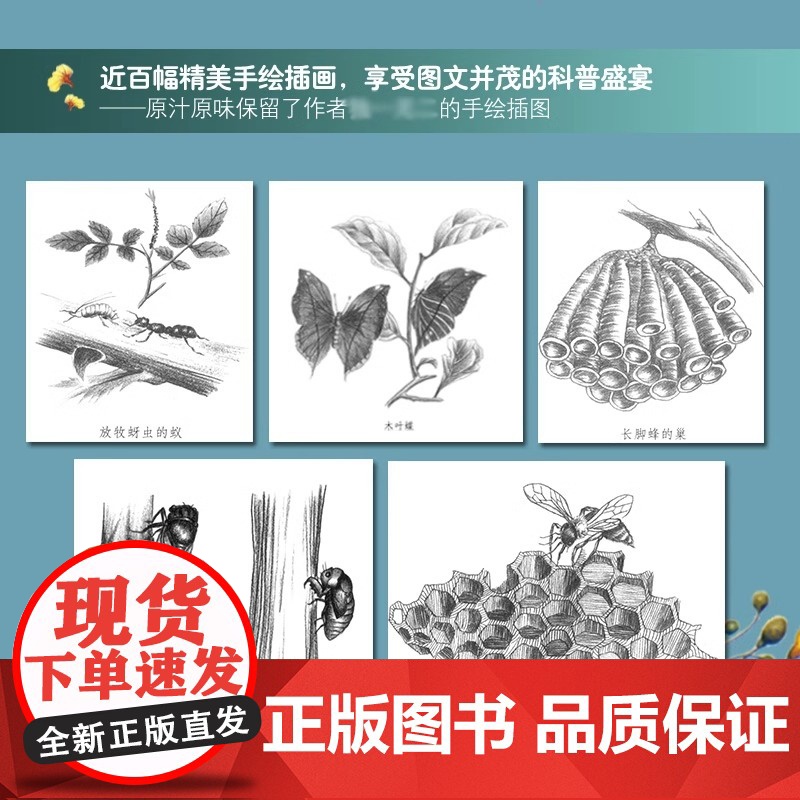 昆虫漫话正版陶秉珍漫画中小学生必课外阅读书籍三四五六年级阅读正版下册儿童6-8-10-12岁自然科学科普百科读物昆虫记高清大图