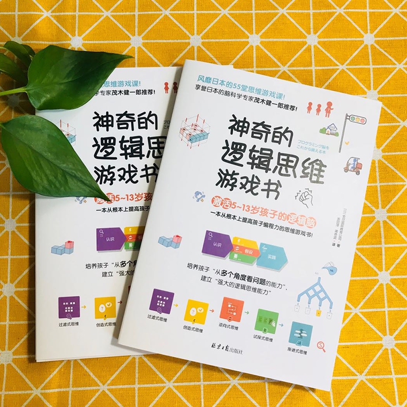 [正版]BK神奇的逻辑思维游戏书 儿童编程训练6-12岁益智左右脑全高清大图