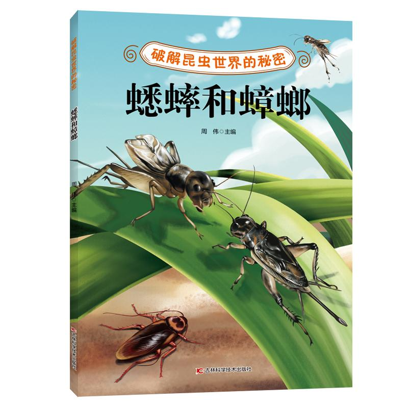 醉染图书破解昆虫世界的秘密——蟋蟀和蟑螂9787557885472高清大图
