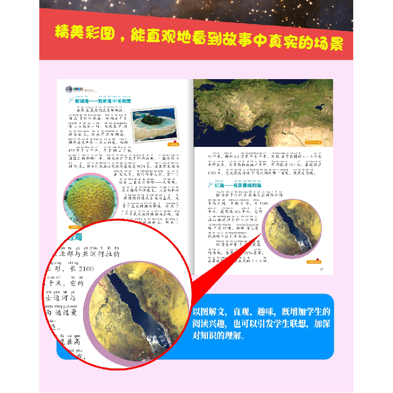 正版新书]趣味科学(彩图拼音精装版)刘晨9787548050247高清大图