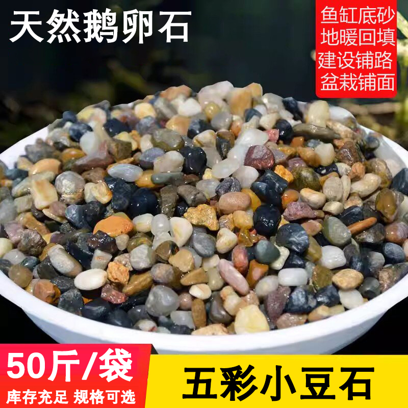 琰玥 彩色小鹅卵石 50斤/袋 0.3-0.6cm豆石 鱼缸花盆铺面天然混色小石子高清大图