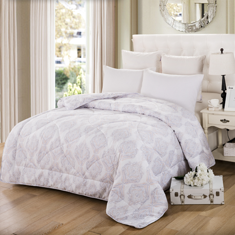 澳丹奴家纺audiano大豆纤维被暖绒被磨毛风景图案冬被被芯单双人冬款