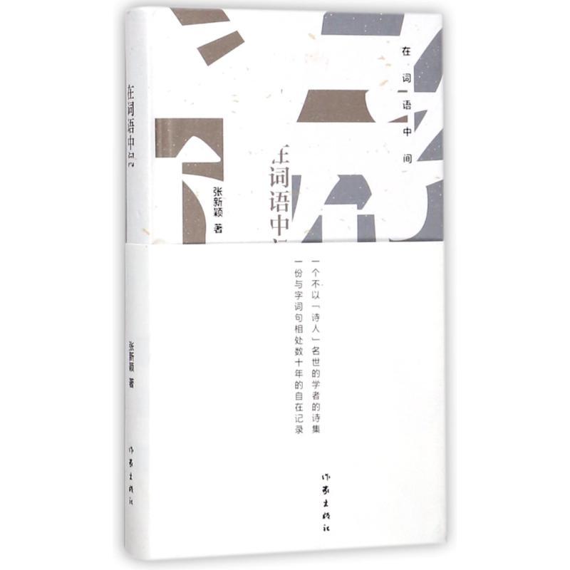 在词语中间 张新颖 著作 文学 文轩网