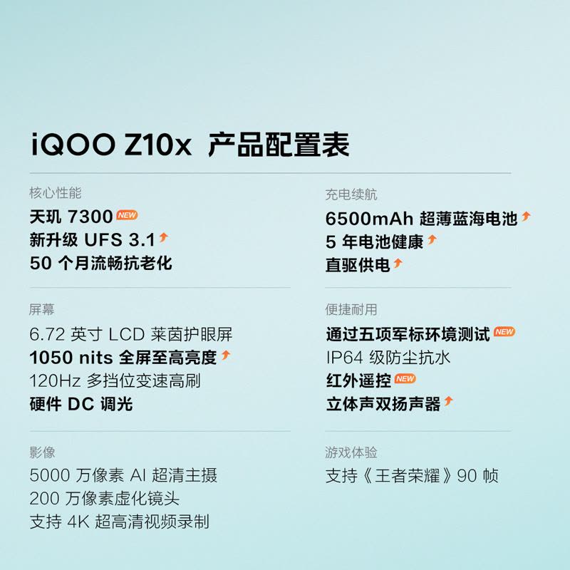 vivo iQOO Z10x 月岩钛 8GB+128GB 天玑7300 5G芯 6500mAh蓝海大电池 护眼LCD屏幕 双卡手机图片