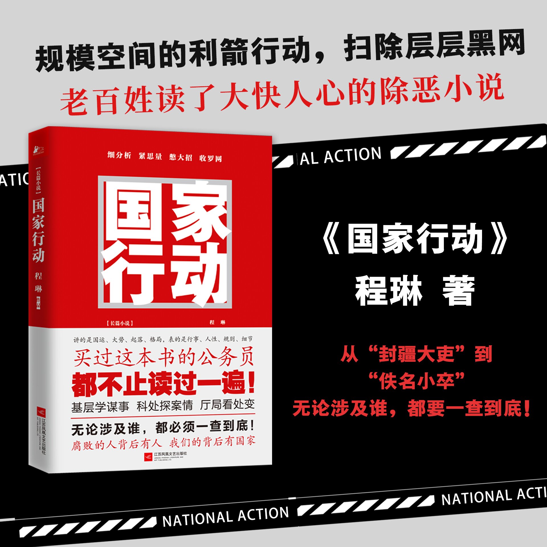 [醉染正版]正版 国家行动小说 程琳著 张译主演同名电视剧原著小说长篇反腐刑侦 人民的名义天局同类 官场小说现当代文高清大图