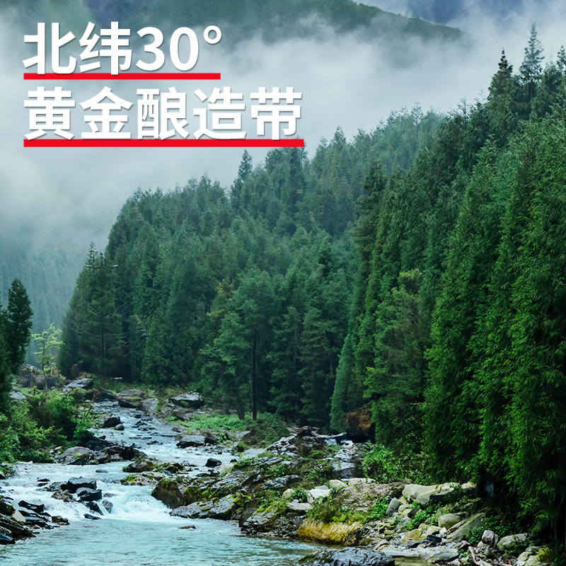 千禾纯酿红烧老抽酱油500ml红烧肉凉拌上色调料高清大图