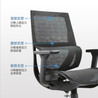 臻远 ZY-6681 办公椅人体工学网面转椅撑腰电脑椅