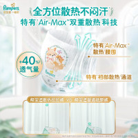 帮宝适一级帮拉拉裤XXL56片 加加大码成长裤学步裤新生儿婴儿尿不湿 男女宝宝通用