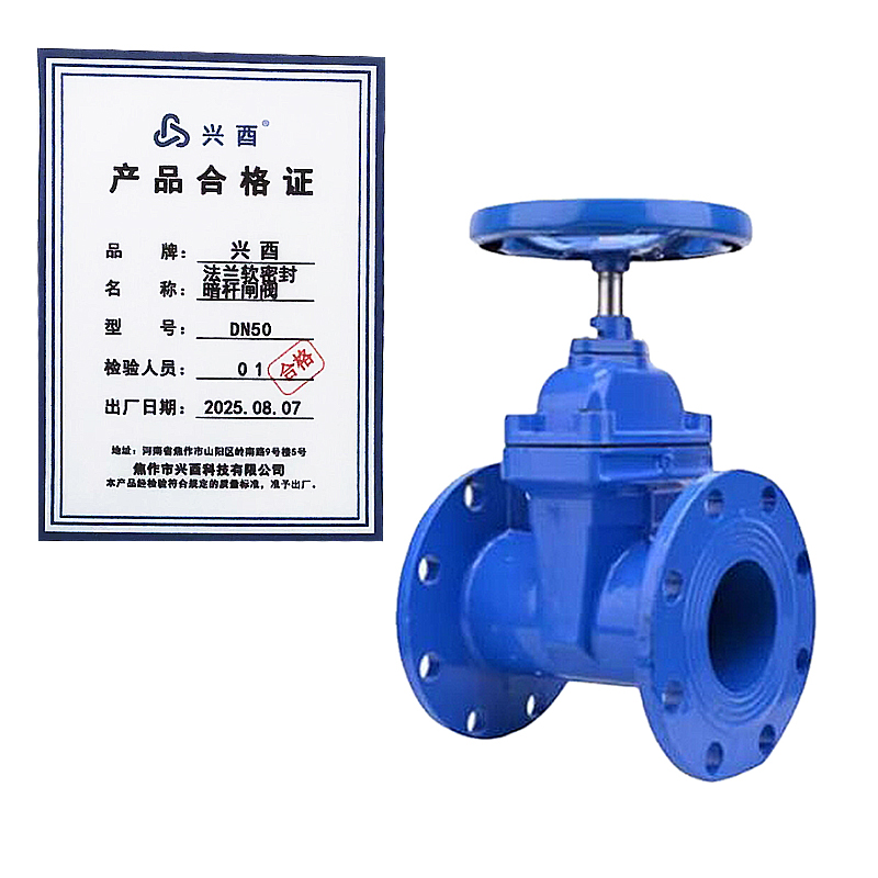 兴酉 法兰软密封暗杆闸阀 DN50 个高清大图