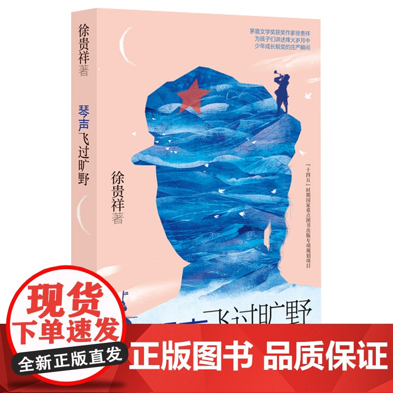 琴声飞过旷野徐贵祥著小学三四五六年级中小学生课外阅读书籍初中生成长励志故事书 6-9-12-15周岁儿童文学读物图书明天高清大图