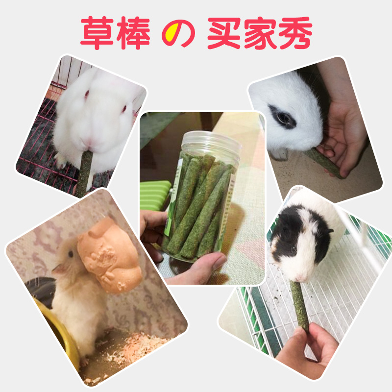仓鼠兔子磨牙棒甜竹豚鼠龙猫荷兰猪用品磨牙石 苹果枝零食高清大图