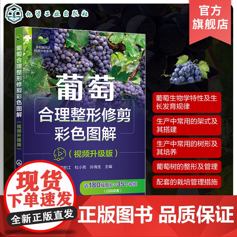 葡萄合理整形修剪彩色图解 视频升级版 乡村振兴之科技兴农系列 果树种植 葡萄合理整形修剪技术指导书籍 高校果树园艺专业参