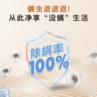 海信(Hisense)波轮洗衣机全自动 10.5公斤大容量波轮 家用租房宿舍 除螨洗智能洗金属机身HB105DC59