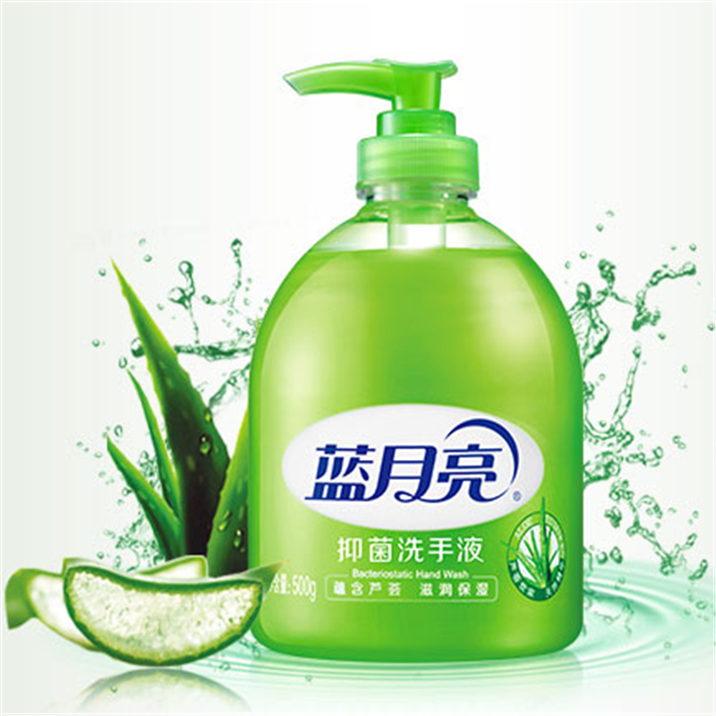 DAYUNHE 洗衣液芦荟清香500g/瓶