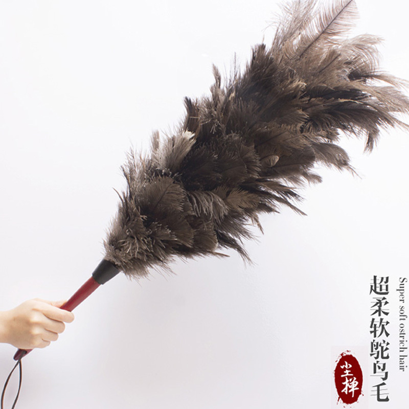 环杰鸡毛掸子zr033