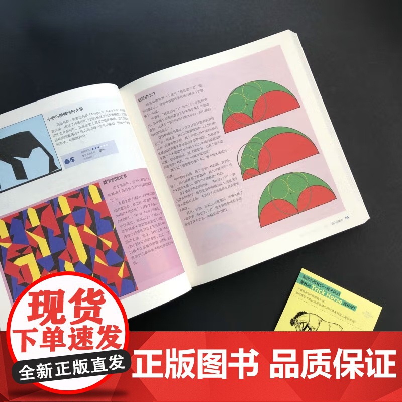 [央视网]迷人的数学 315个烧脑游戏玩通数学史 2021新版 伊凡 莫斯科维奇 Ivan Moscovici著 TJ高清大图