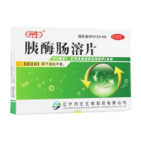 丹生 胰酶肠溶片 0.3g*12片*2板 胃肠用药 片剂 消化不良