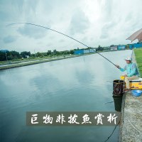 本汀(BenTing)台钓竿裸棍 19调硬轻鲤鱼竿碳素综合竿钓鱼竿