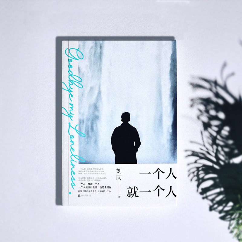 一个人就一个人 [正版]一个人就一个人 刘同著 继谁的青春不迷茫 我在未来等你后新作 现代青春文学散文励志情感随笔小说书高清大图