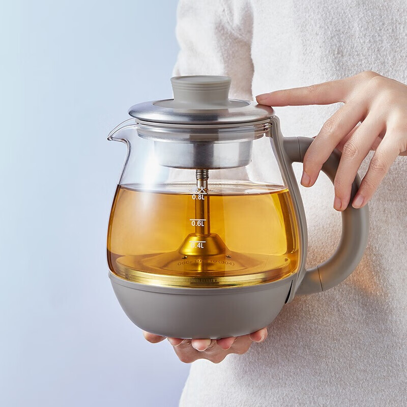 小熊(Bear) 养生壶电热水壶 蒸茶器喷淋式不锈钢烧水壶 0.8升 ZCQ-A08H2高清大图