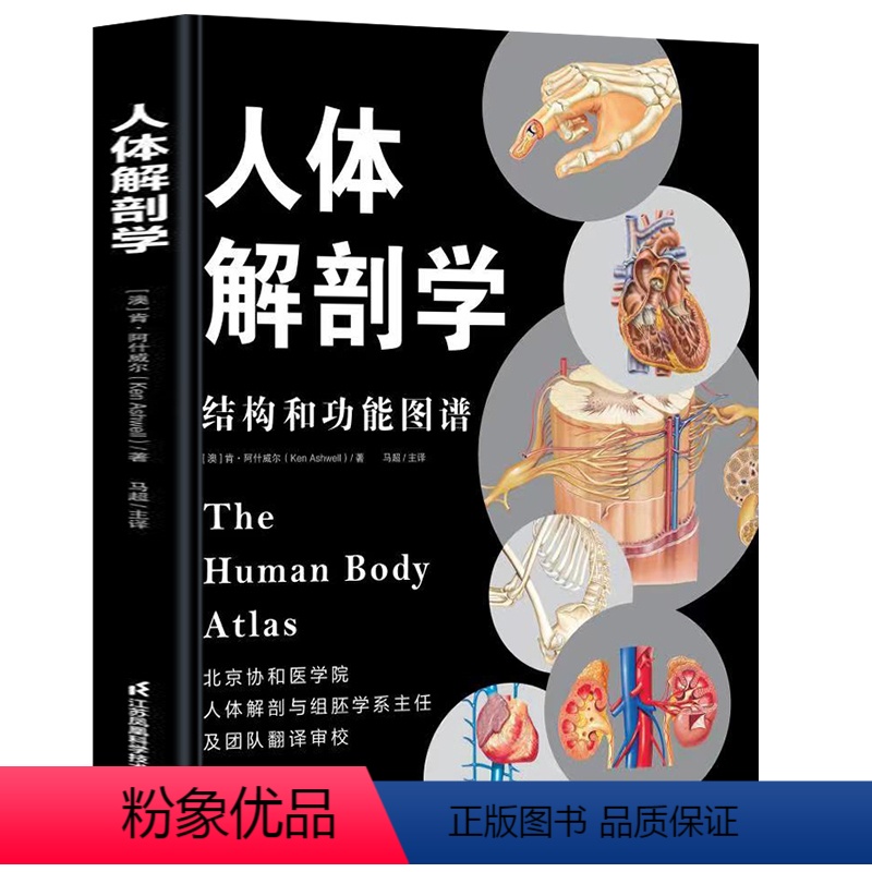 【正版】人体解剖学 结构和功能图谱 马超 北京协和医学院主任翻译人体解剖彩色图谱彩色学解刨学奈特书籍正常医学实用彩色学