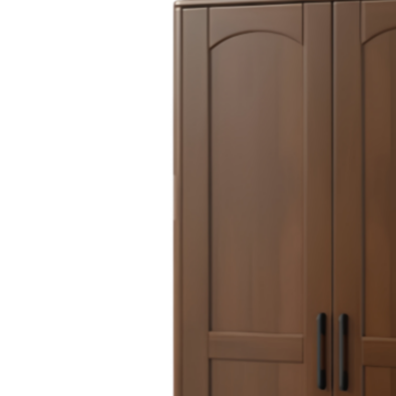 乐琪 艺 衣柜 二门 个高清大图