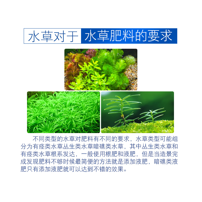 综合铁肥浓缩液肥水液肥营养液水肥料基肥水肥高清大图