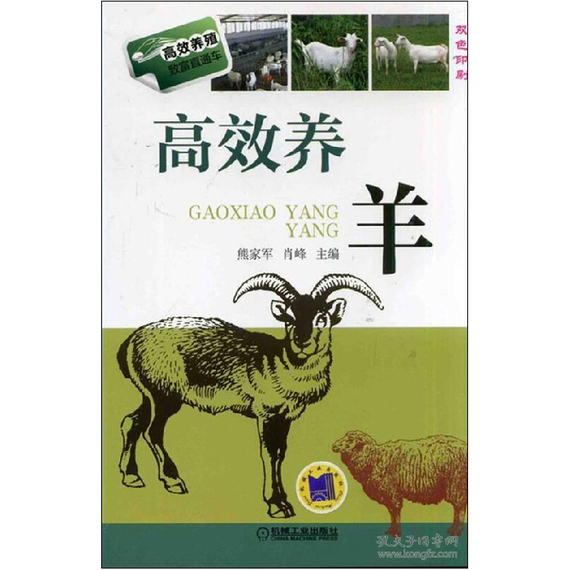 正版新书]高效养羊熊家军//肖峰9787111454670高清大图