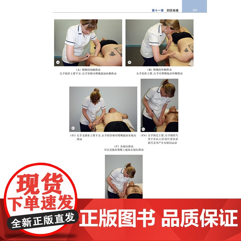 佩蒂肌肉骨骼检查与评估 原著第6版 迪翁 赖德 江苏凤凰科学技术出版社 9787571352356高清大图