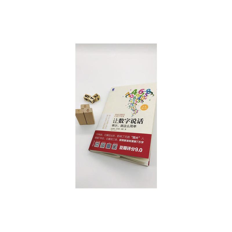 让数字说话:审计,就这么简单(团购,请致电010-57993380)