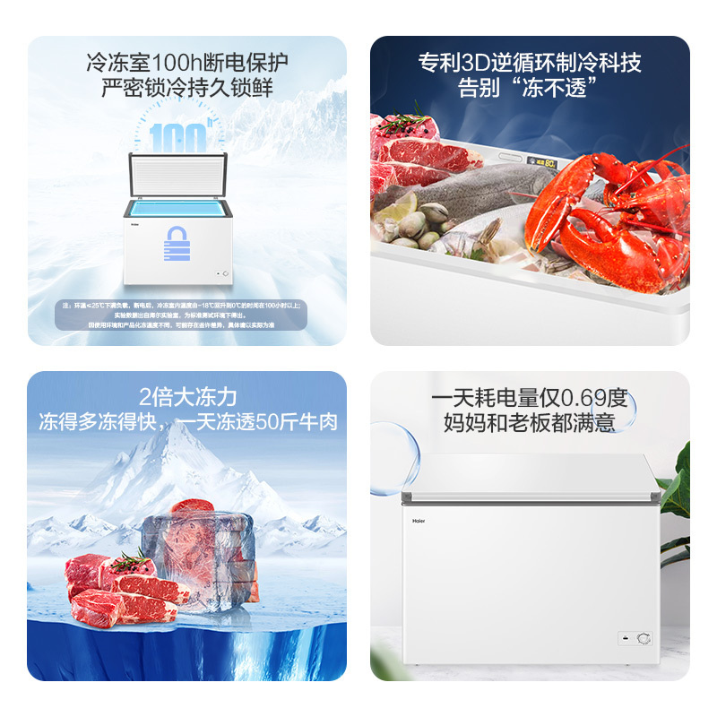 海尔(Haier)303升家商两用大冷冻柜 低霜大冻力 3D逆循环技术 制冷快匀透一体化无界设计