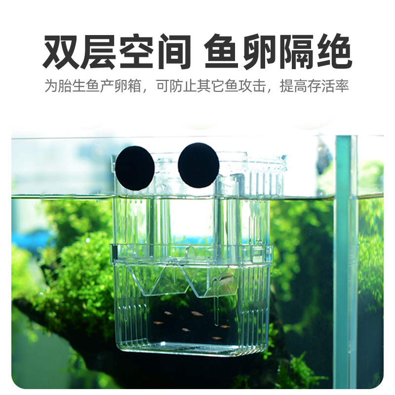 孔雀鱼繁殖盒网凤尾幼鱼苗孵化器斑马热带母鱼生小鱼缸产房隔离箱高清大图
