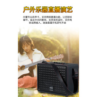 TEMEISHENG 特美声QX-0879户外视频音响显示屏家用KTV一体机唱歌便携蓝牙演唱音箱 QX-0879 双系统