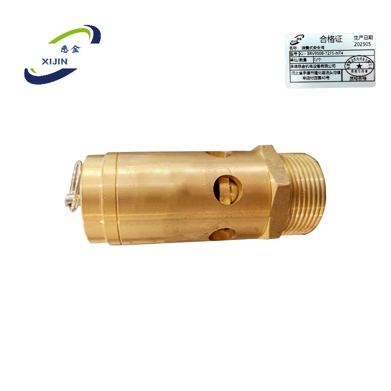 悉金 弹簧式安全阀 XJ - BRV9508-T275-NT4 个高清大图