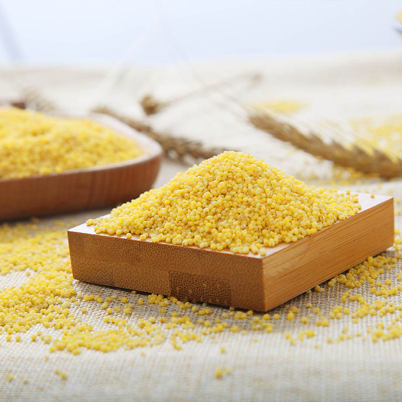 马庙金谷小米农家杂粮新小米香小米真空礼盒包装3000g箱