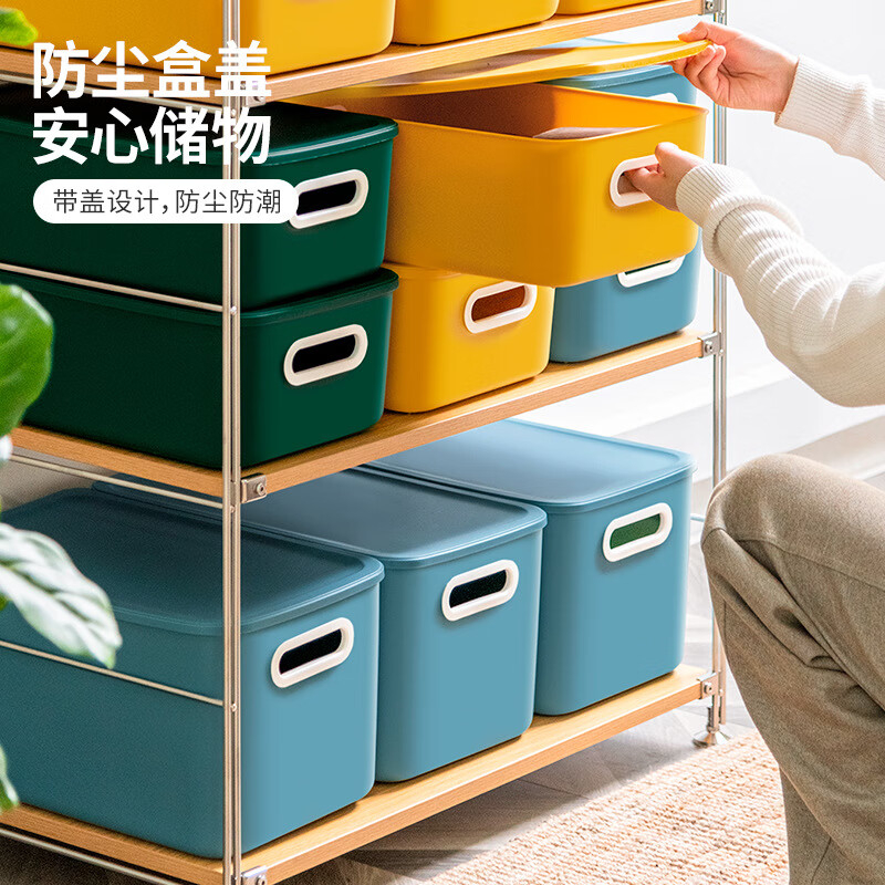 禧天龙(Citylong) H-7704素色收纳盒2个装 带盖长方形储物盒子办公桌整理盒零食杂物收纳盒高清大图