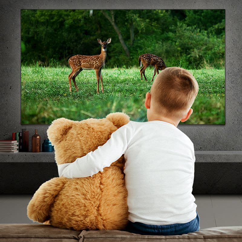 海信激光电视 100L5G(主机) 100寸 护眼 菲涅尔仿声屏 0有害蓝光 3+64GB 4K+HDR影院级高清画质图片