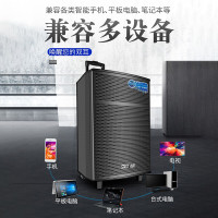 先科 (SAST) SA- 122英寸广场舞音响 蓝牙拉杆音箱 彩灯户外便携式音响大功率低音炮KTV 扩音器带无线麦克风