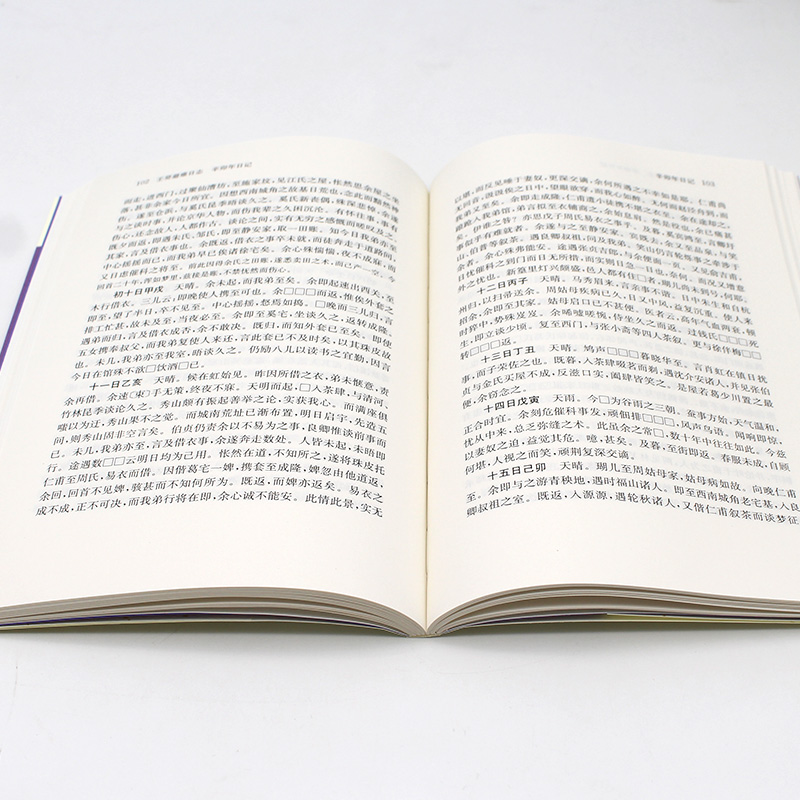 醉染图书壬癸避难日志 辛卯年日记9787550624153高清大图