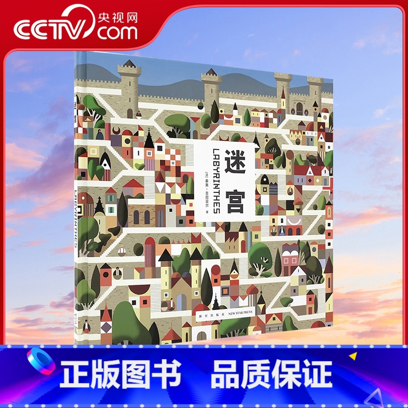 迷宫 【正版】央视网迷宫 读小库 3-6岁 儿童走迷宫大冒险益智书 亲子互动游戏书 专注力训练 左脑右脑全脑开发 逻辑思